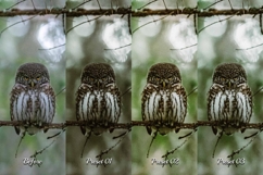 30 Countryside Lightroom Bundle Product Image 8