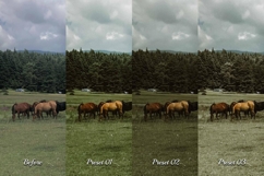 30 Countryside LUT Collection Product Image 8