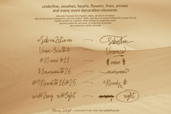 Alluring Delight Font | Feminine Elegant Swash Luxury Script Product Image 6