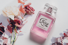 Alegarde Product Image 6