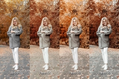 30 Fall Feel Lightroom Collection Product Image 10