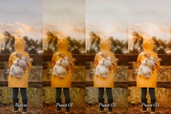 30 Golden Fall Lightroom Collection Product Image 6