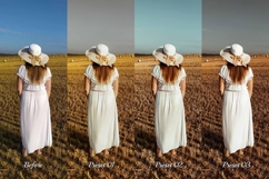 30 Harvest LUT Collection Product Image 8