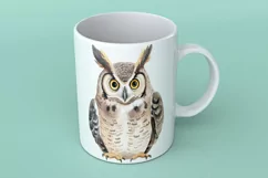 Cute Horned Owl Bird Baby Watercolor Handmade illustration Product Image 1