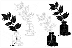 Glass Bottle with Decorative Plants Product Image 6