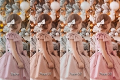 30 Presents Lightroom Bundle Product Image 7