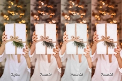 30 Presents LUT Collection Product Image 7