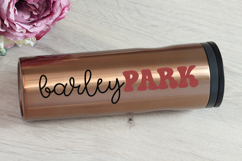 Lemon Charm - Cute Font Duo Product Image 6