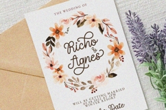 Nebraska Bridge - Monoline Cursive Font Product Image 7