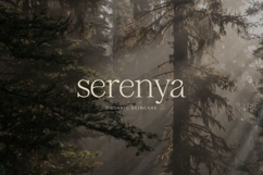 Bellovia Modern Feminine Serif Font Product Image 6