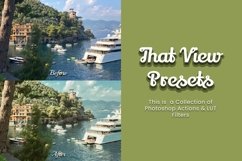 14 That View Photoshop Actions Product Image 6
