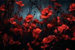 Enigmatic red poppies at night Product Image 1