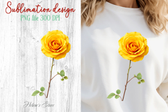 Summer flowers sublimation design png | Cute roses clipart Product Image 1