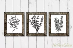 Herbs svg, Plant svg, Kitchen svg, Thyme svg, Rosemary svg Product Image 1
