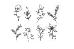 Hand-Draw With Herb And Flowers Collection Product Image 1