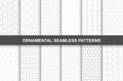 Ornamental seamless patterns. Product Image 1