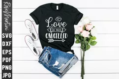 Love Is Not Cancelled SVG Valentines Day Love Quarantine Product Image 4