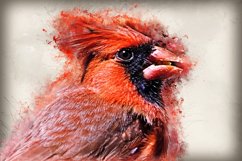 Collection of 12 Images 4k of Bird Portraits PACK 08 300 dpi Product Image 8