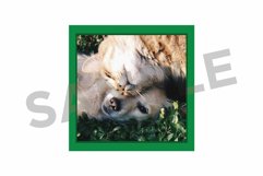 Square Instant Film Frame Clip Art Set Product Image 6