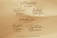 Alluring Delight Font | Feminine Elegant Swash Luxury Script Product Image 7