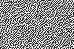 Turing Seamless Pattern #01 Product Image 9