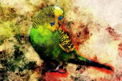 Collection of 12 Images 4k of BIRDS 300 dpi Product Image 5