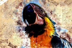 BIRDS Pack of 72 Printable Images Graphics Product Image 6