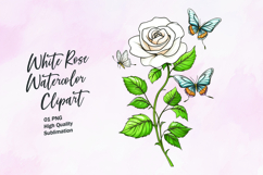 White rose with butterfly watercolor clipart sublimation Product Image 1