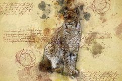 ANIMAL Printable Illustrations Pack # 19 graphics JPG Product Image 1