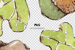 Acorns &amp; Leaves Seamless Watercolour Patterns Product Image 7