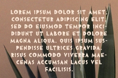 Brotha - All Caps Imperfect Font Product Image 7