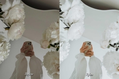 30 Casual LUT Collection Product Image 4