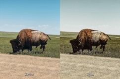 30 Countryside Lightroom Bundle Product Image 9