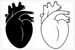 Realistic Heart with Bouquet of Roses Product Image 7