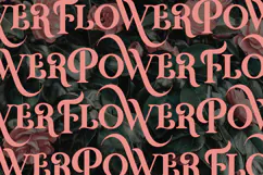 Winter Day - Luxury All Caps Display Serif Product Image 7