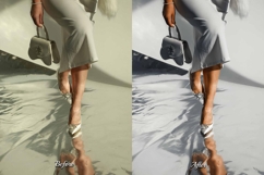 30 Silver LUT Collection Product Image 7