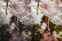 Add a touch of Spring magic to your photos with our Spring Girl Photoshop collection, featuring 30 actions for vibrant color grading, beautiful landscapes, and fashion photography.