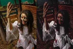 30 Zombie Lightroom Collection Product Image 9