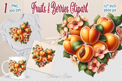 Ripe juicy apricot heart clipart |Summer sweet food graphics Product Image 1