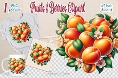 Ripe juicy apricot heart clipart |Summer sweet food graphics Product Image 1