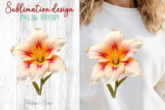 Summer flowers sublimation design png | Cute lily clipart Product Image 1