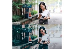 60 Street Photo Mobile and Desktop PRESETS Product Image 9