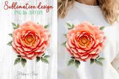 Summer flowers sublimation design png | Cute peony clipart Product Image 1