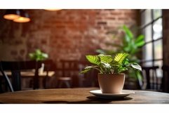 shelf blurred interior plant Product Image 1