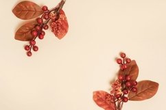 Autumn frame from red branches with berries and dried leaves Product Image 1