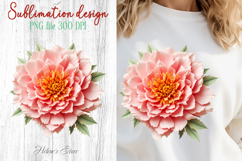 Summer flowers sublimation design png | Cute peony clipart Product Image 1