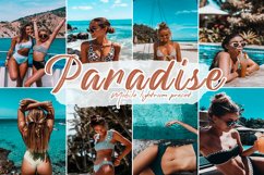 Paradise Lightroom Presets Product Image 1