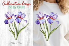 Iris flowers sublimation design png |Delicate Floral Clipart Product Image 1