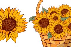 Sunflower SVG Clipart, Sunflower EPS, PNG, Sunflower bundle Product Image 3