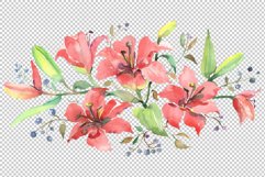 Branch of orange lilies Watercolor png Product Image 2